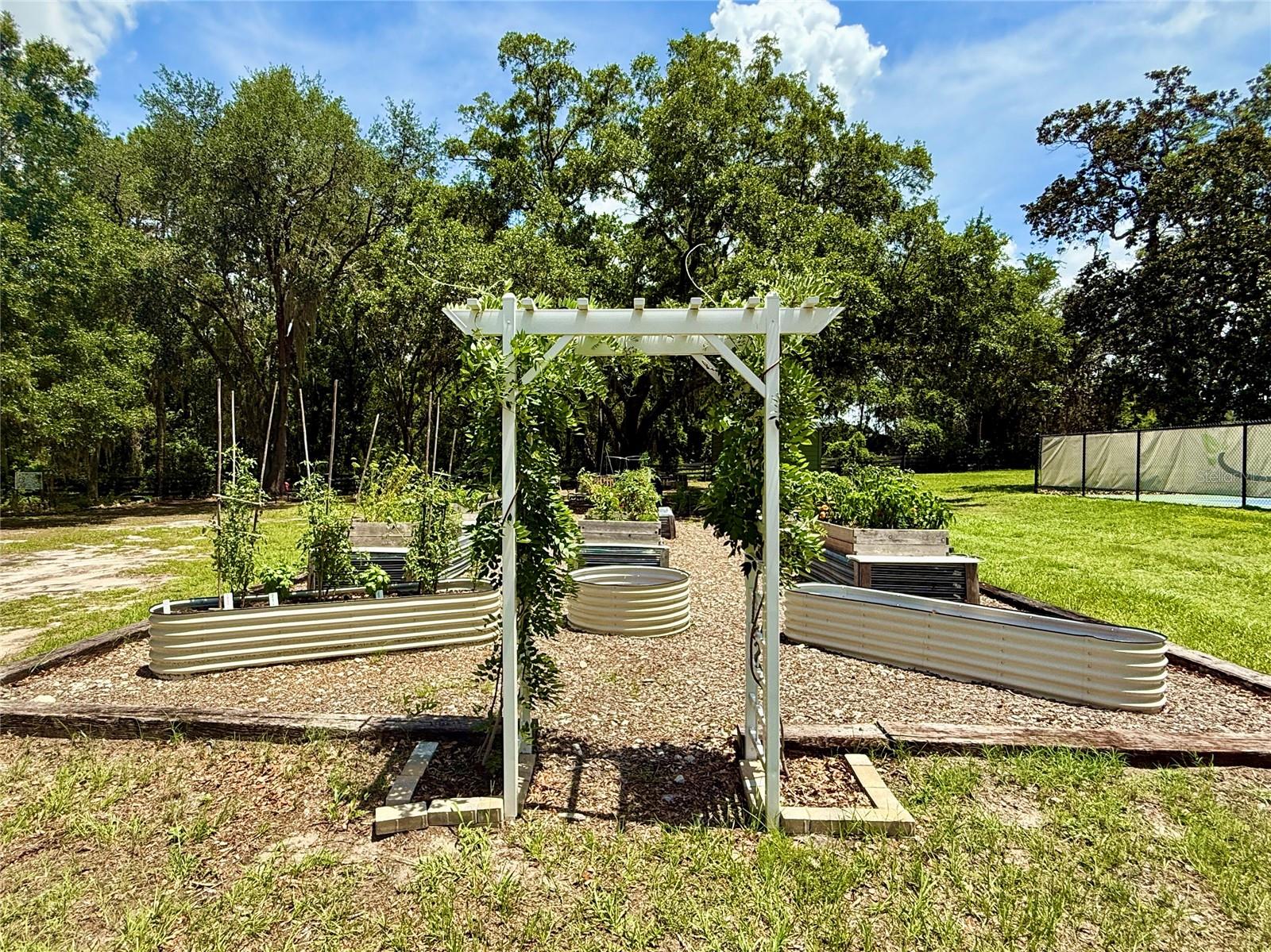 Image 28 of 38 For 12030 Lakeshore Way