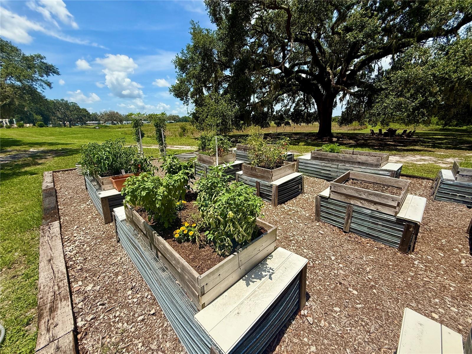 Image 29 of 38 For 12030 Lakeshore Way