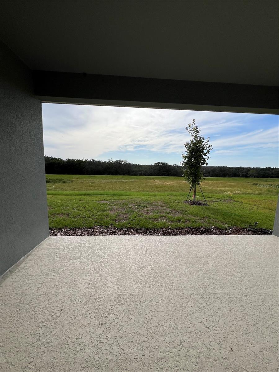Image 4 of 22 For 2352 Juniper Berry Drive