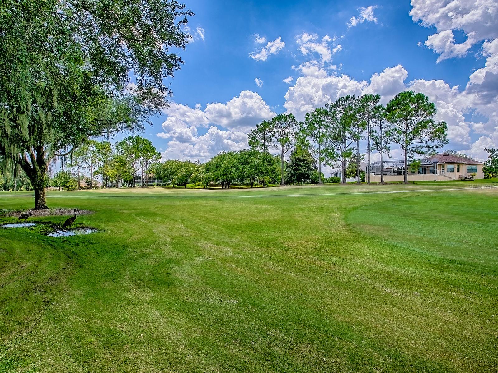 Image 45 of 59 For 16822 80th Bellavista Circle