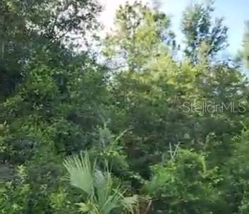 Details for  97 Avenue , SUMMERFIELD, FL 34491