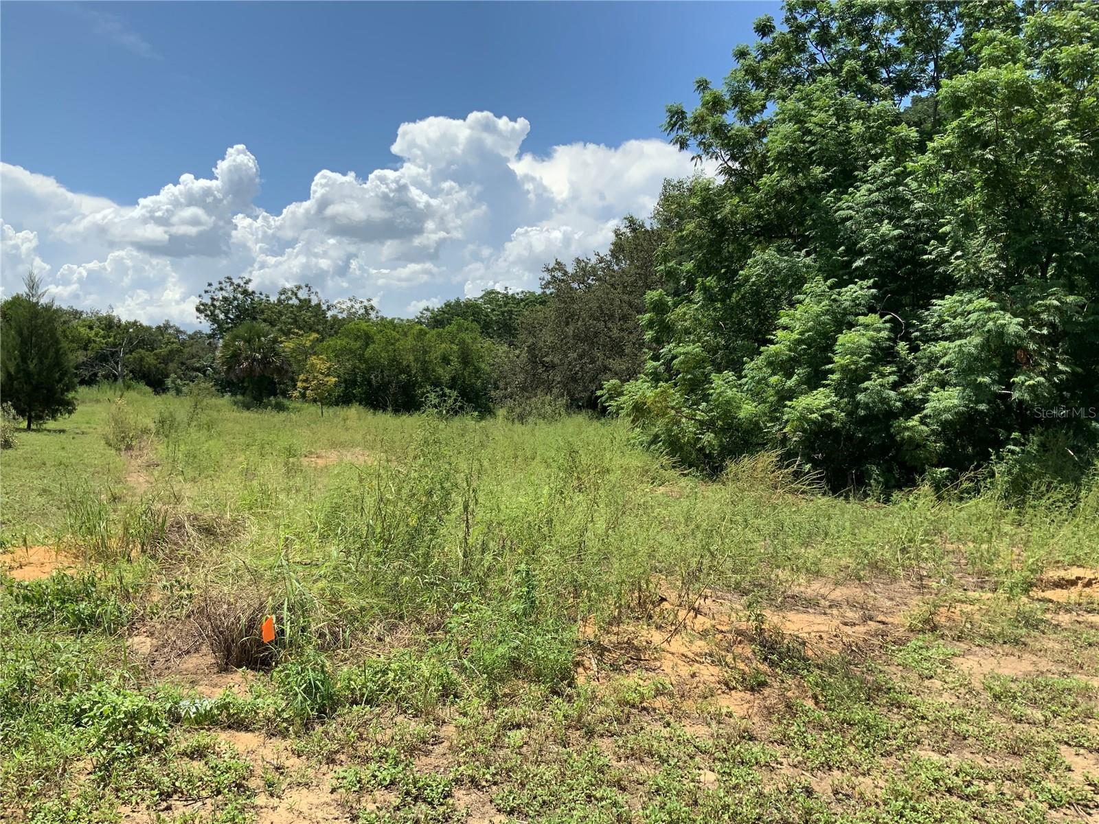 Details for 000 Fruitwood Avenue, EUSTIS, FL 32726