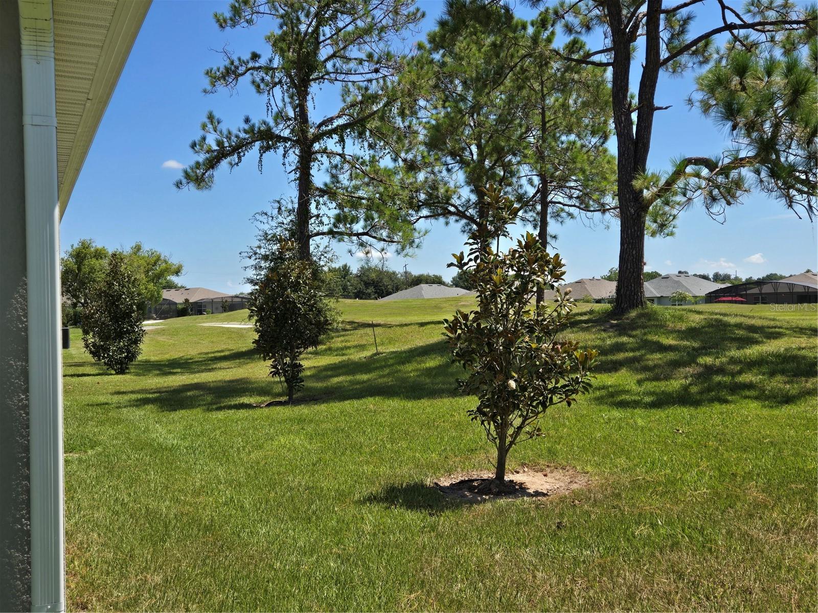 Image 4 of 4 For 10073 Spring Lake Drive