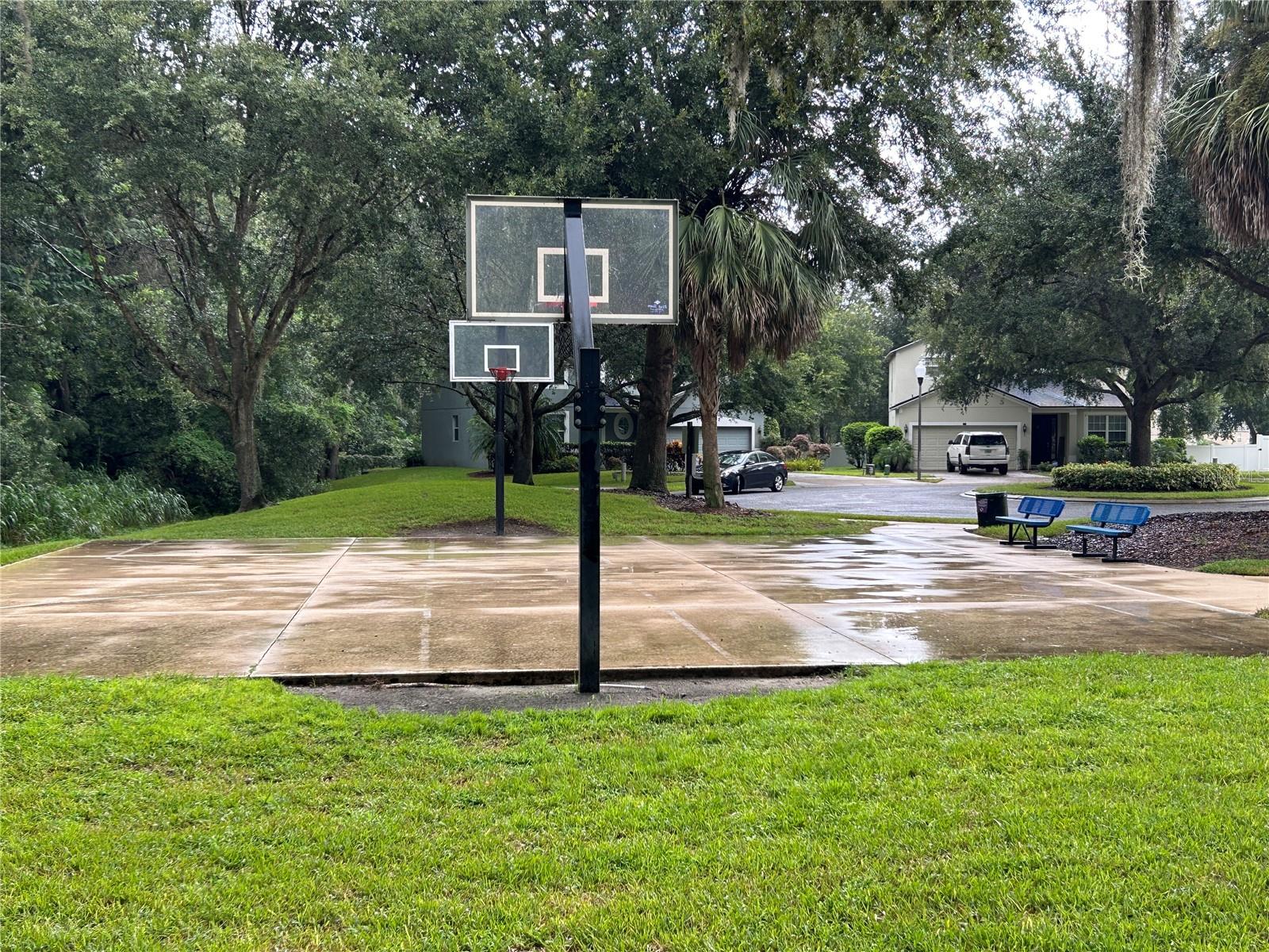 Image 56 of 57 For 413 Split Oak Court