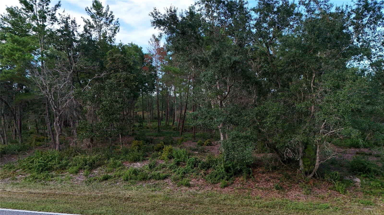 Image 10 of 10 For 39600 Royal Trails Road