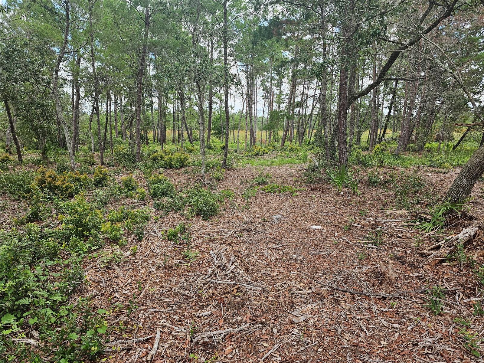 Image 2 of 10 For 39600 Royal Trails Road