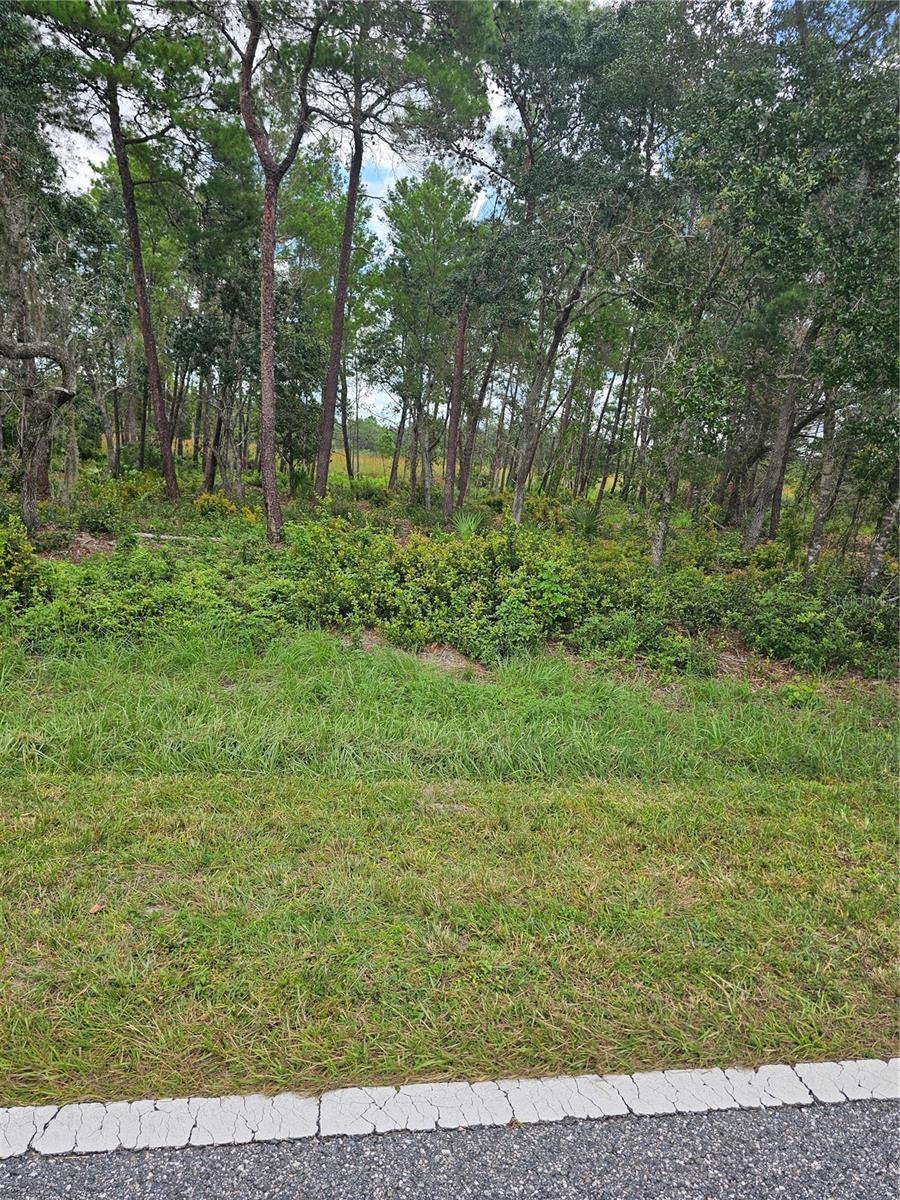 Image 3 of 10 For 39600 Royal Trails Road