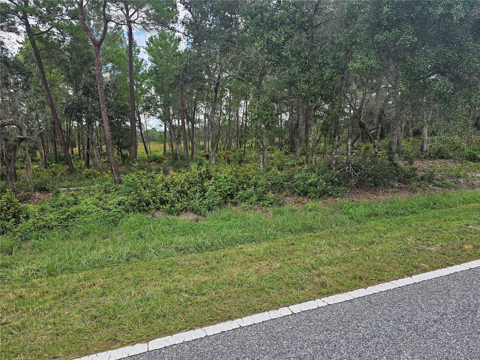 Image 4 of 10 For 39600 Royal Trails Road