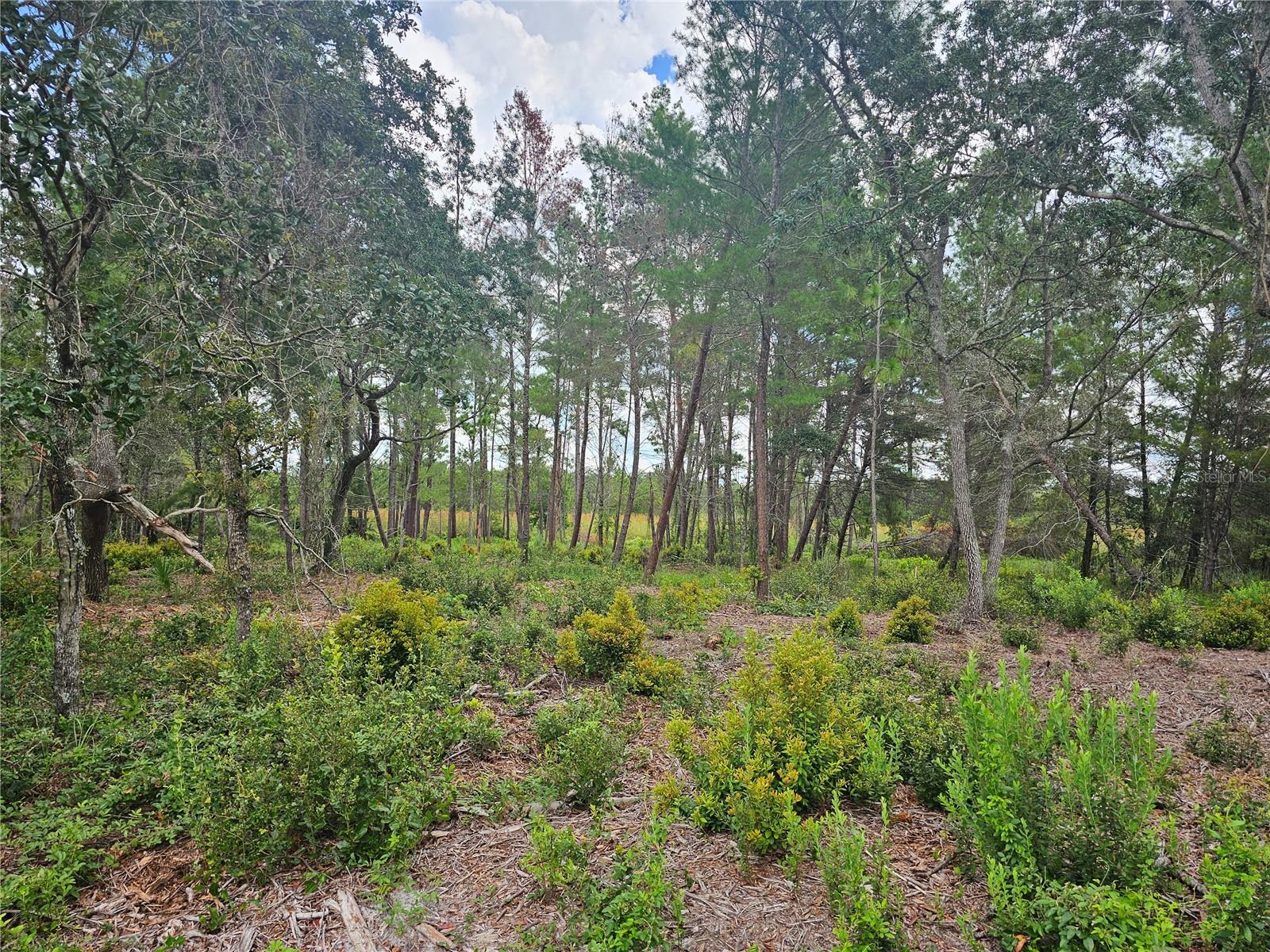 Image 6 of 10 For 39600 Royal Trails Road