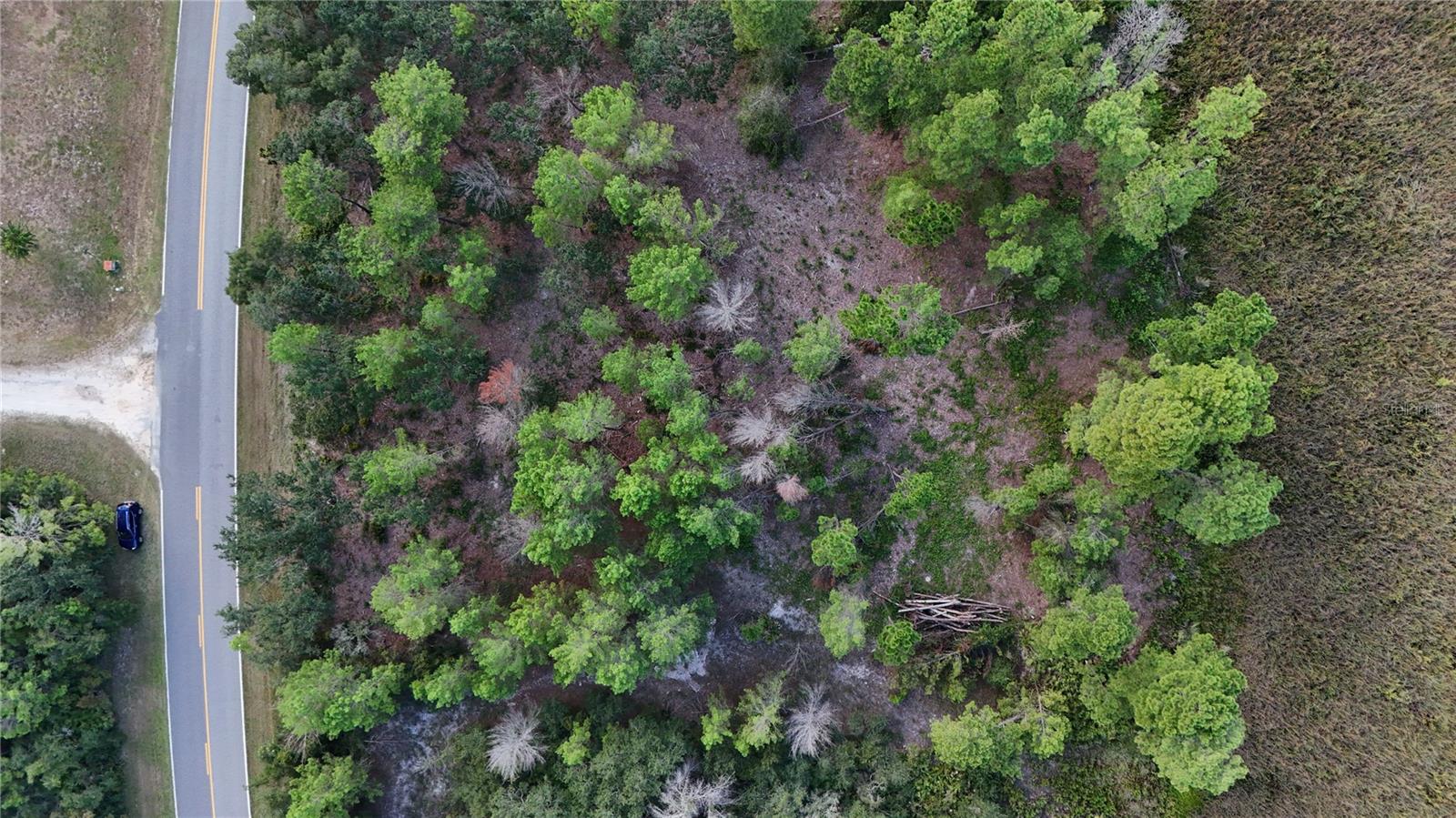 Image 7 of 10 For 39600 Royal Trails Road