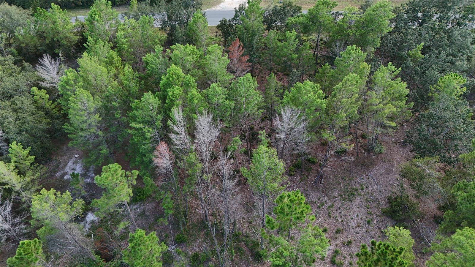Image 8 of 10 For 39600 Royal Trails Road