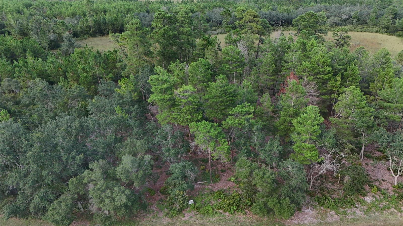 Image 9 of 10 For 39600 Royal Trails Road