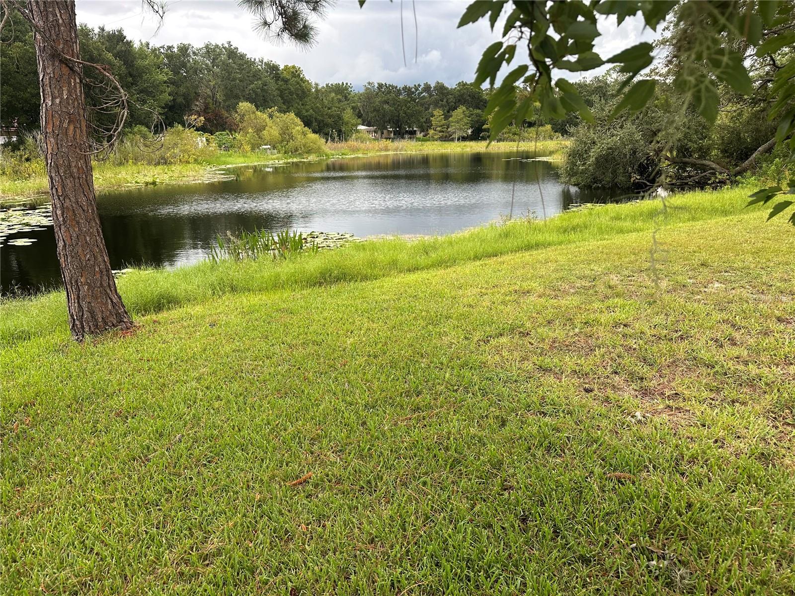 Image 3 of 21 For 726 Scenic Street