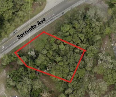 Listing Details for 25904 Sorrento Ave, MOUNT PLYMOUTH, FL 32776