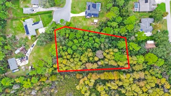 Image 5 of 5 For Timber Lane