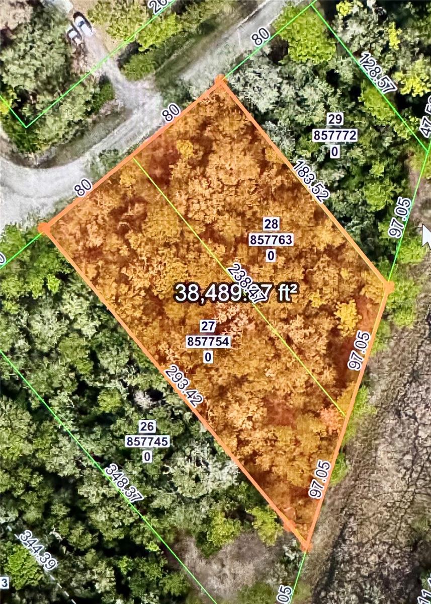 Details for Octavia Lane, WEBSTER, FL 33597