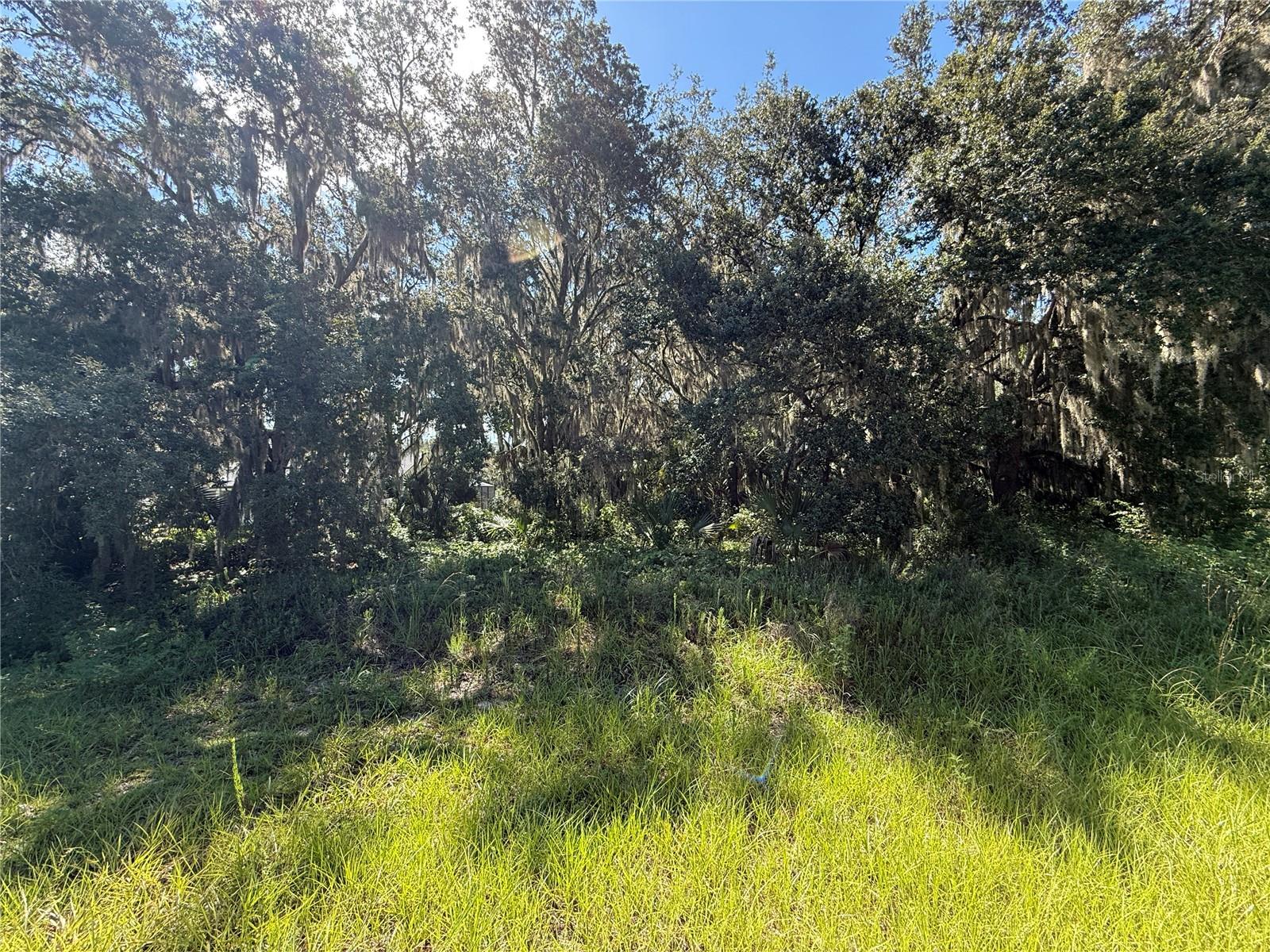 Image 5 of 7 For Lot 98 Bear Den Drive