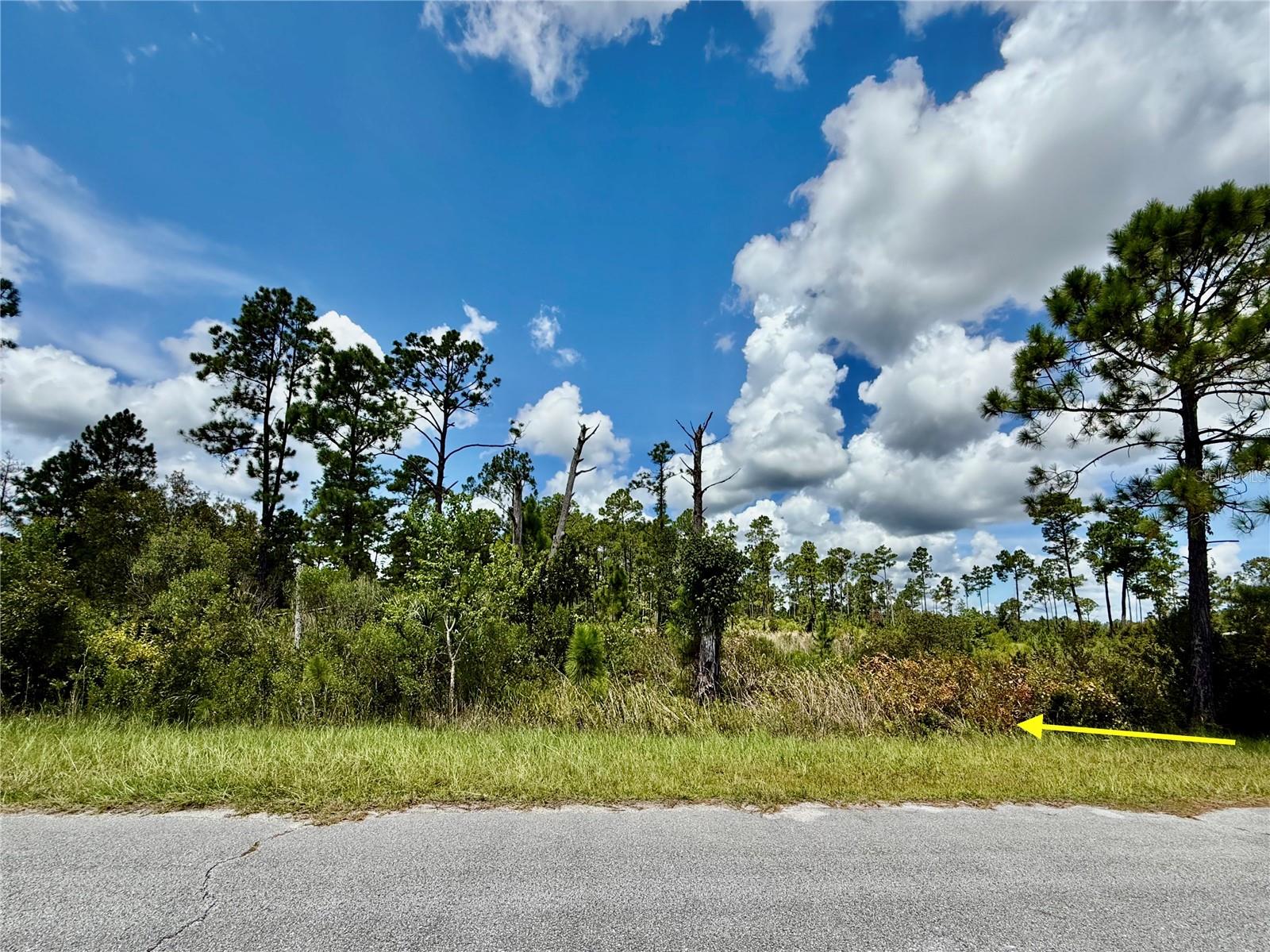 Details for Lot 8 Honeysuckle Street, EUSTIS, FL 32736