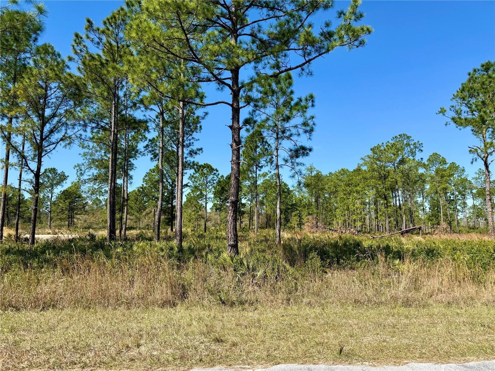 Details for Lot 9 Honeysuckle Street, EUSTIS, FL 32736