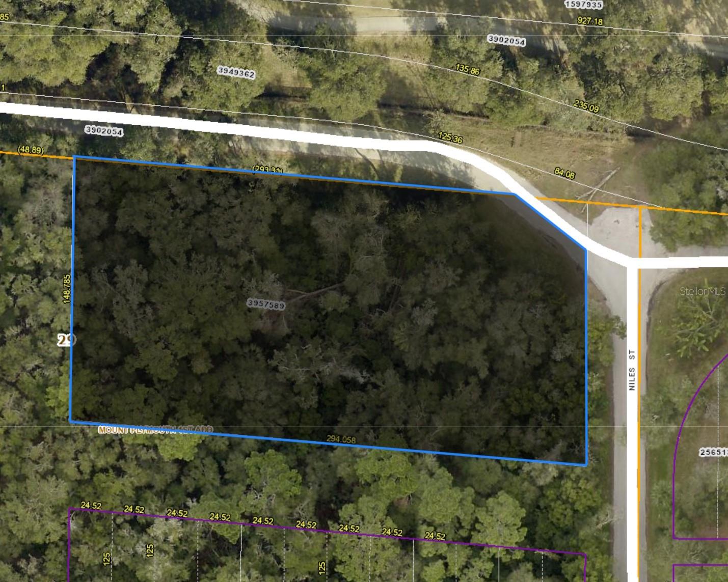 Listing Details for Niles Street, SORRENTO, FL 32776