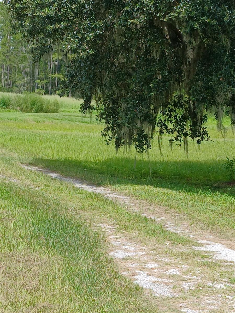 Image 3 of 16 For 4949 Brantley Road