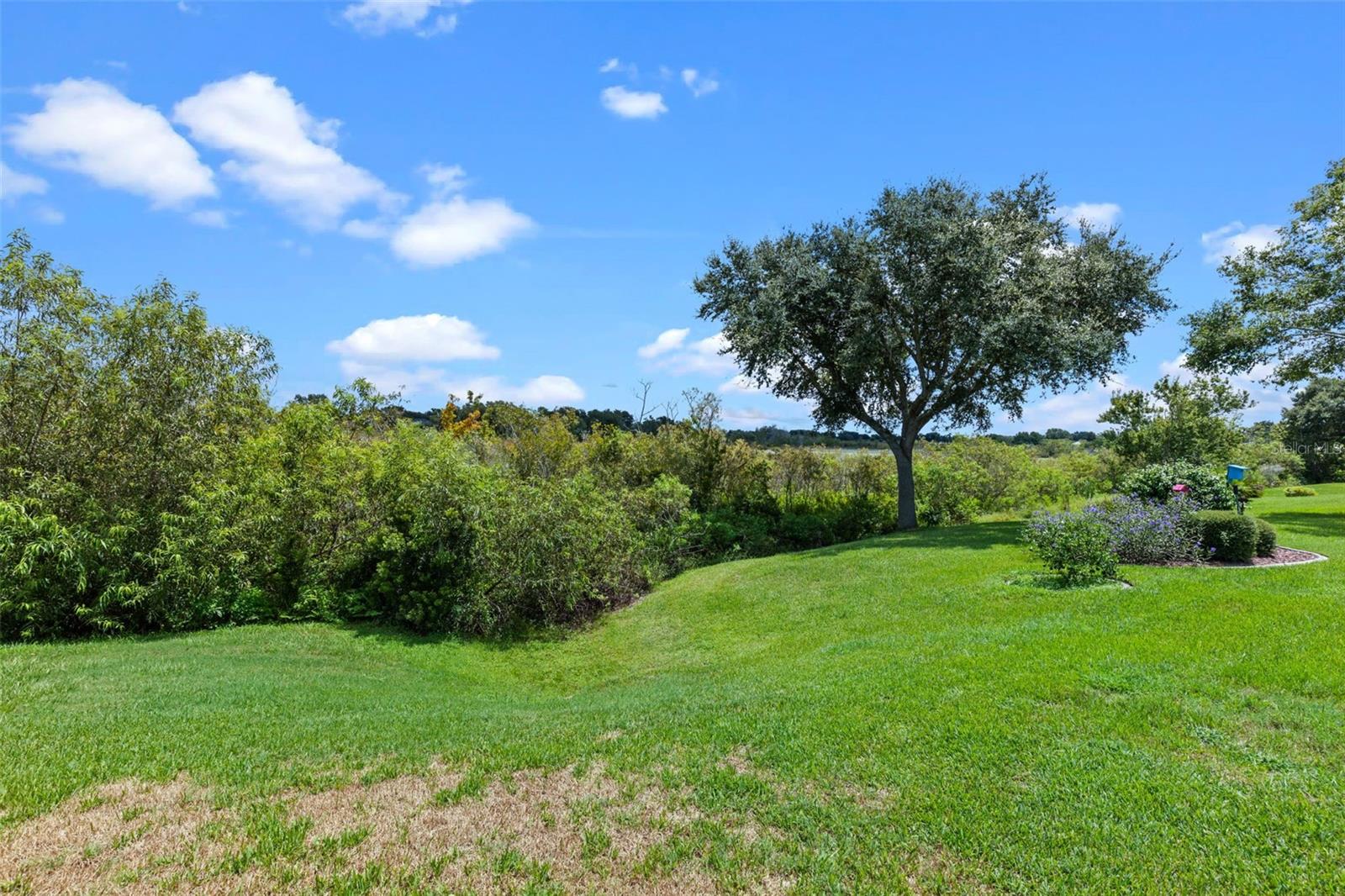 Image 32 of 64 For 4749 St Andrews Arcade