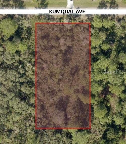 Listing Details for 30610 Kumquat Avenue, EUSTIS, FL 32736