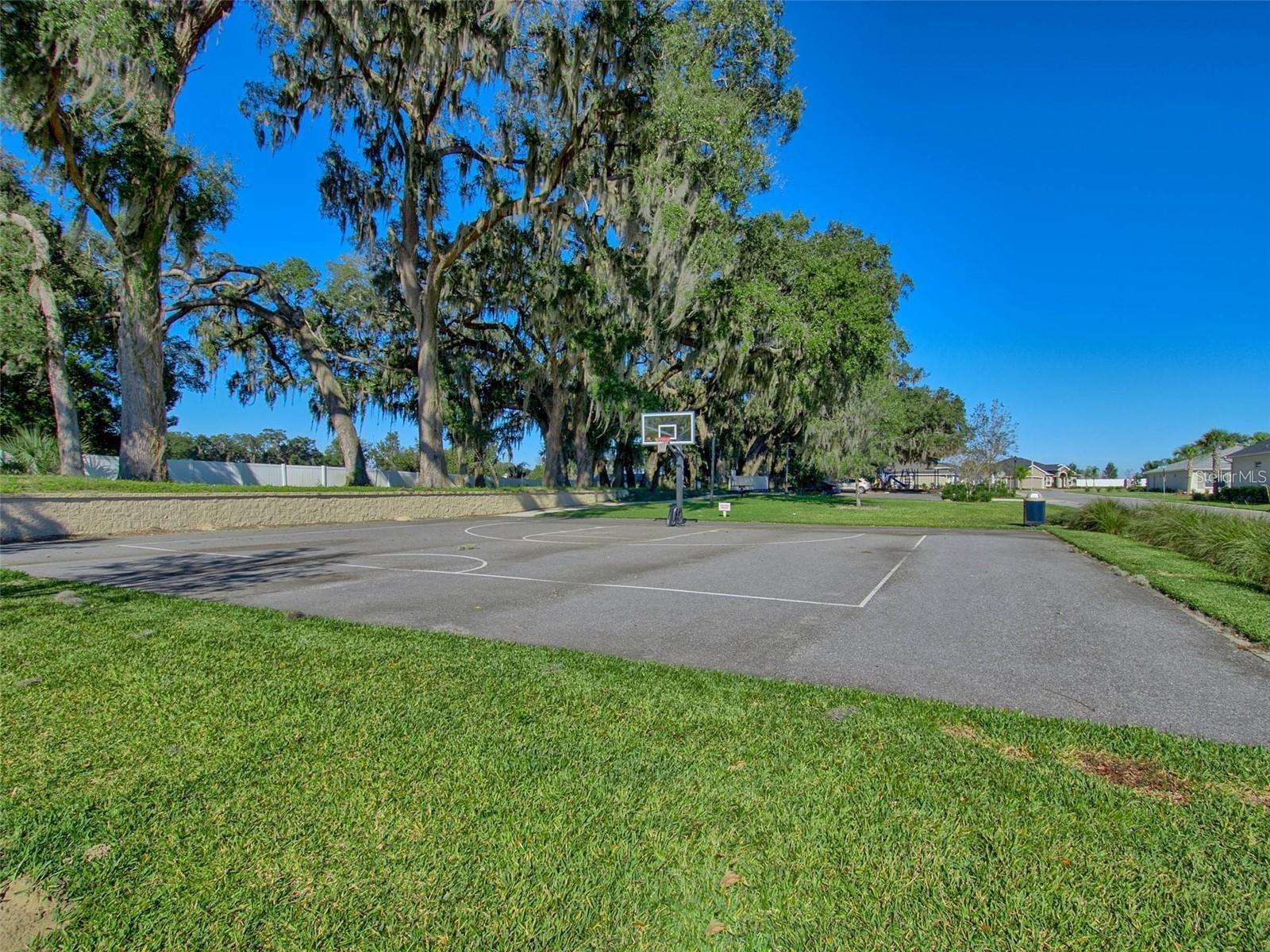 Image 45 of 50 For 10357 Silver Maple Avenue