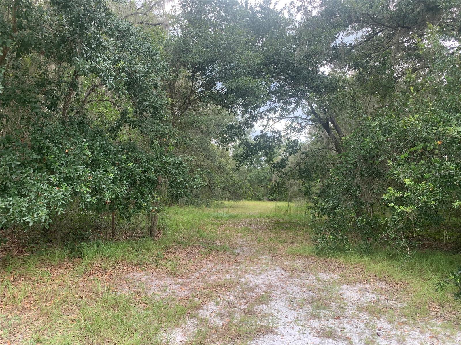 Image 4 of 10 For 7935 Ott Williams Road