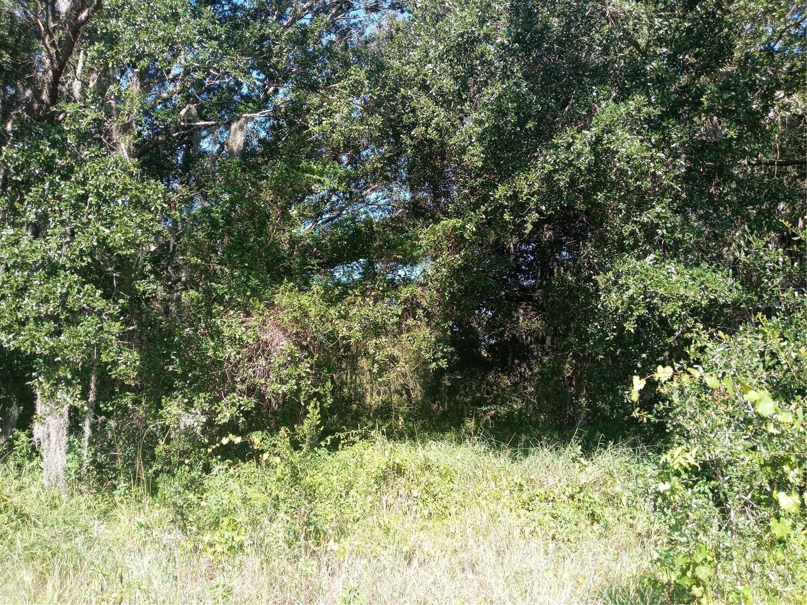 Image 10 of 13 For Postal Colony Road