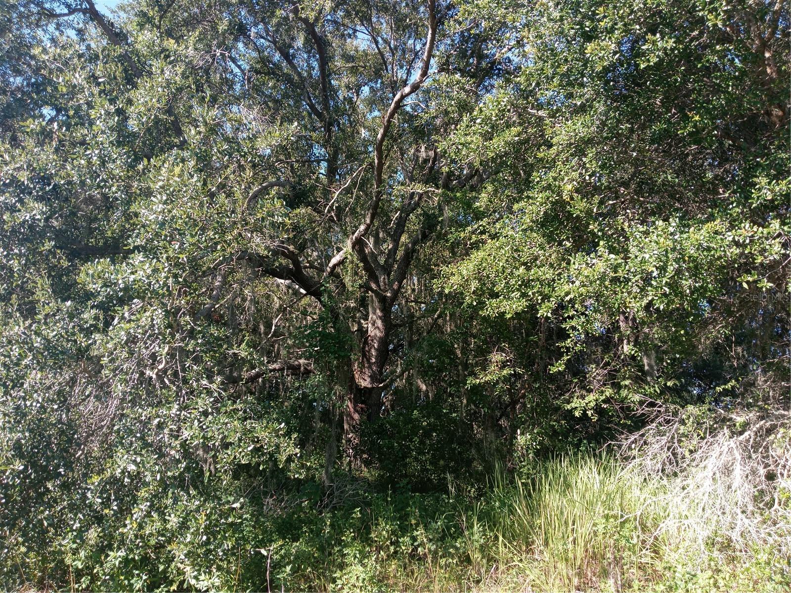 Image 11 of 13 For Postal Colony Road