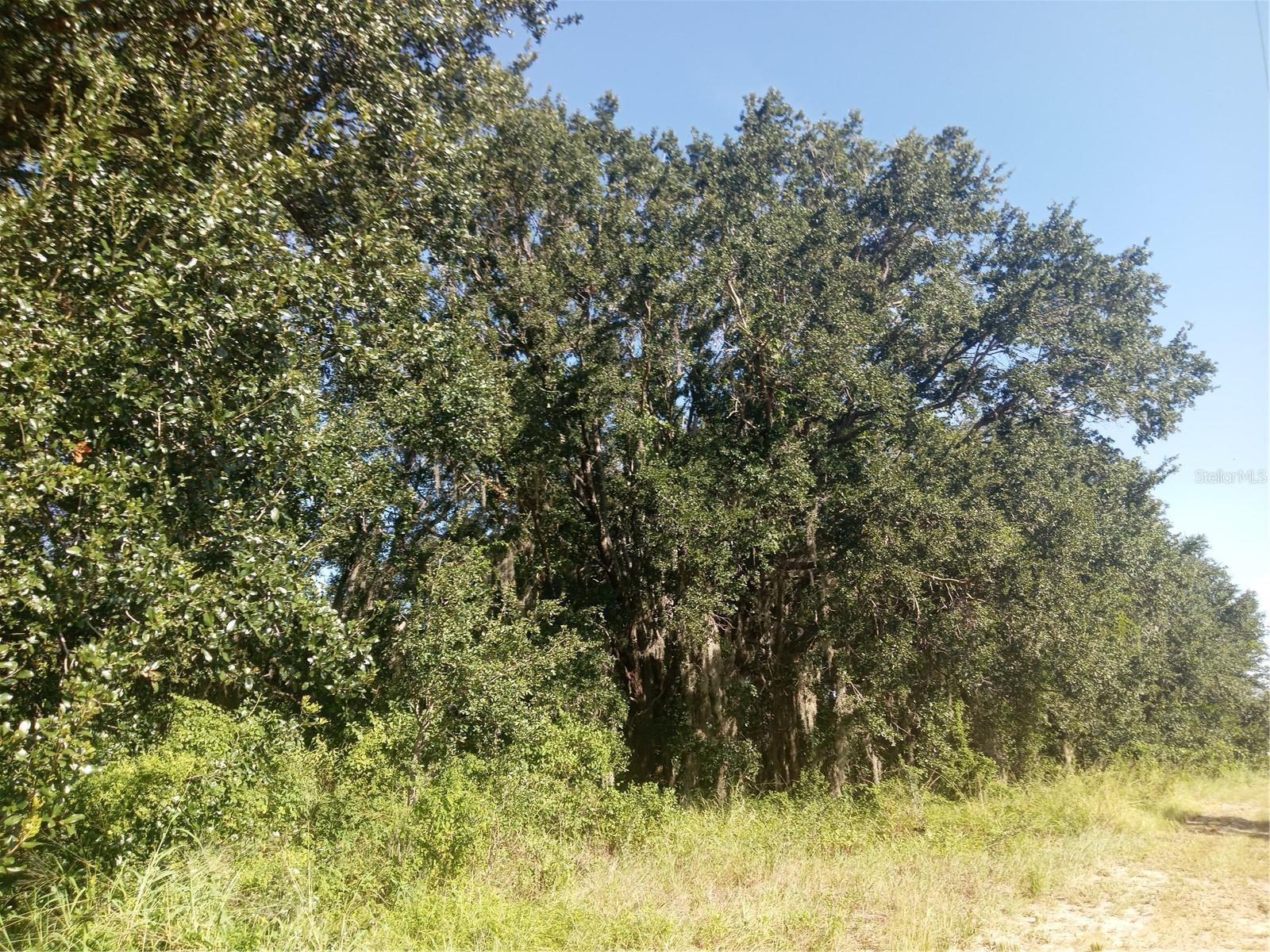 Image 4 of 13 For Postal Colony Road