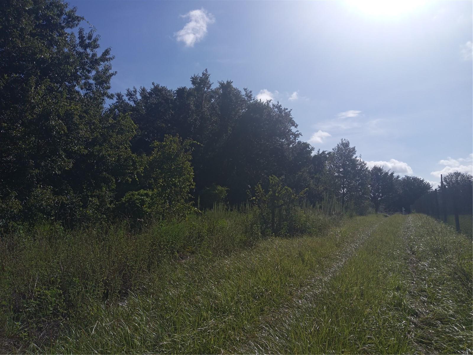 Image 5 of 13 For Postal Colony Road