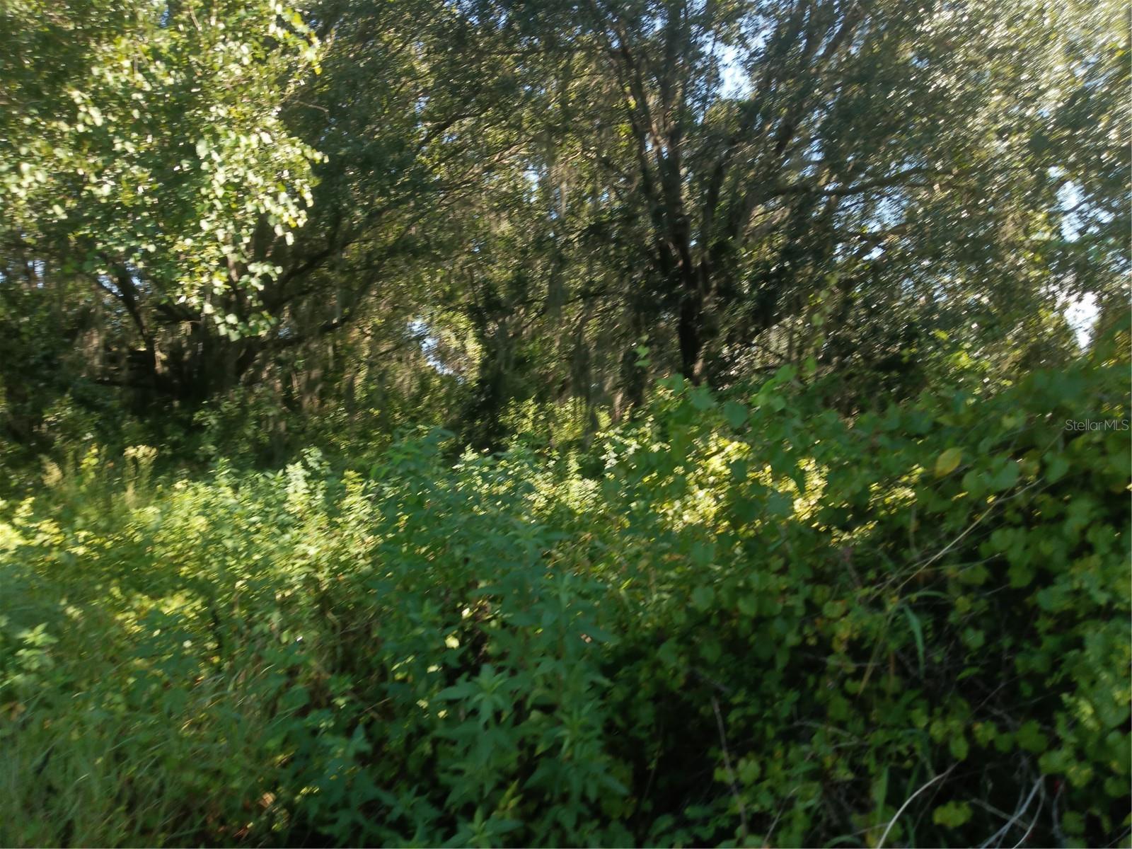 Image 6 of 13 For Postal Colony Road