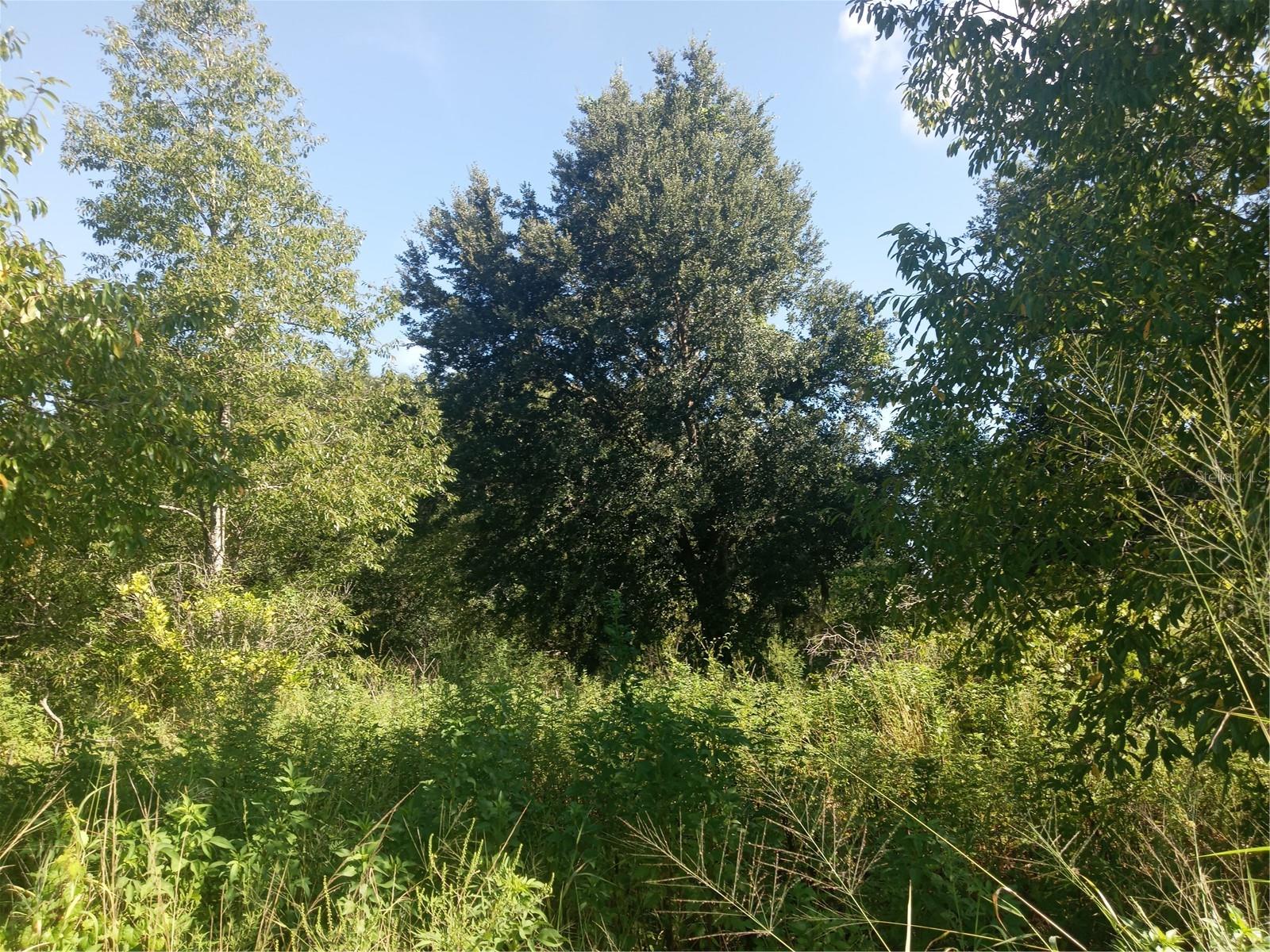 Image 7 of 13 For Postal Colony Road