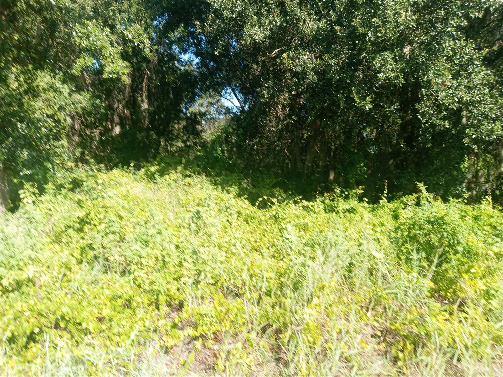 Image 8 of 13 For Postal Colony Road