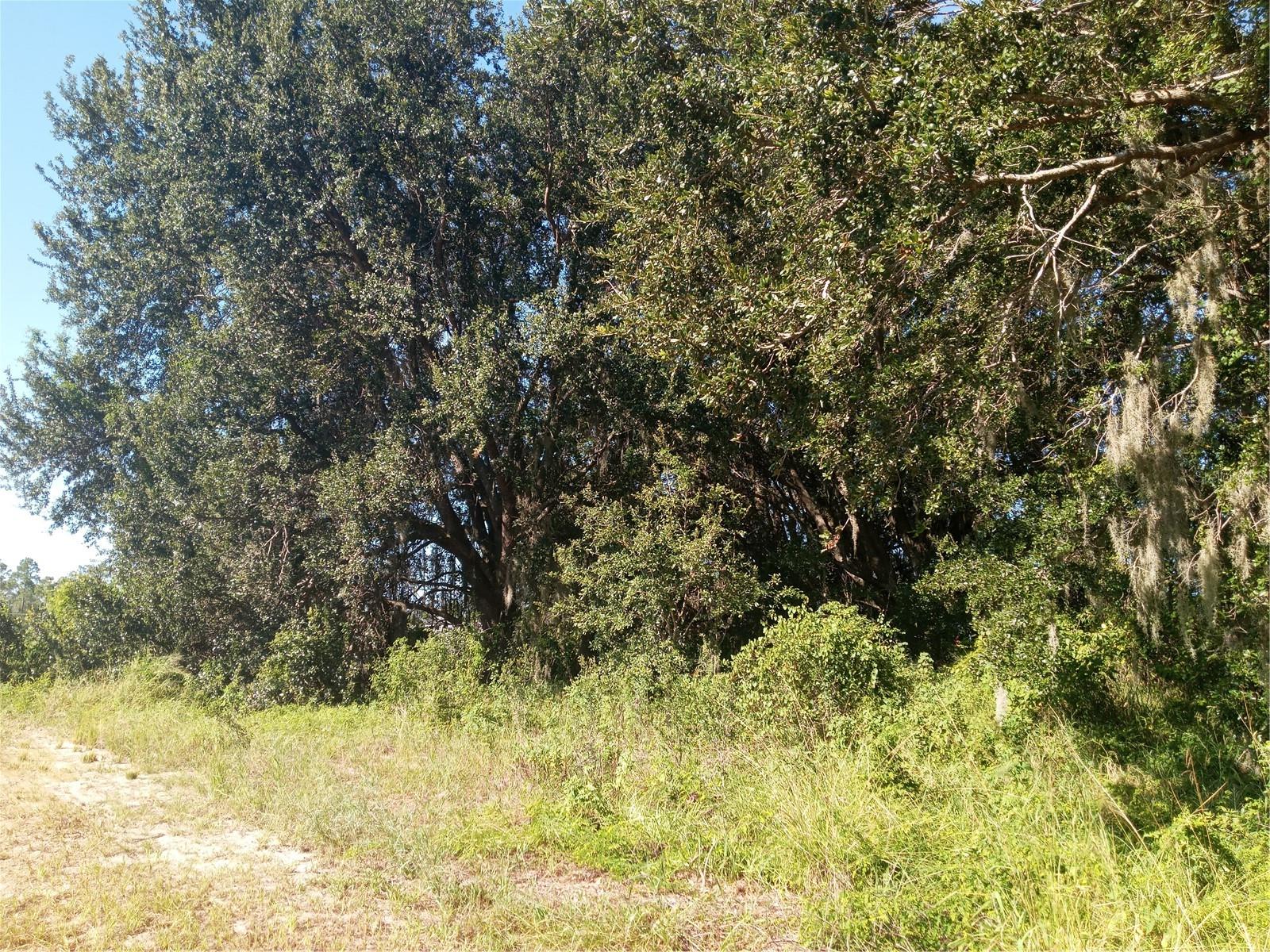Image 9 of 13 For Postal Colony Road