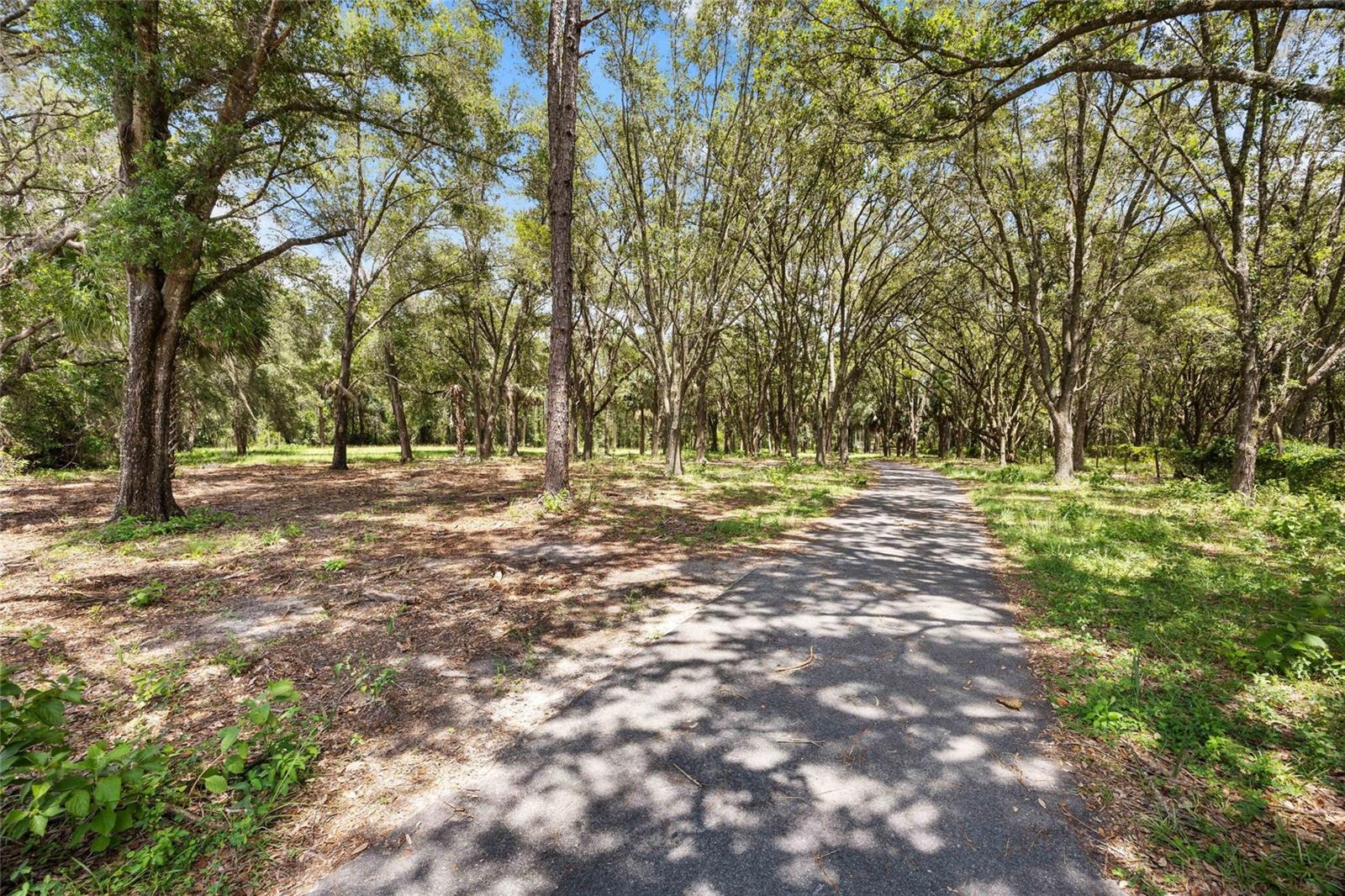 Listing photo id 3 for 7701 170th Avenue Road