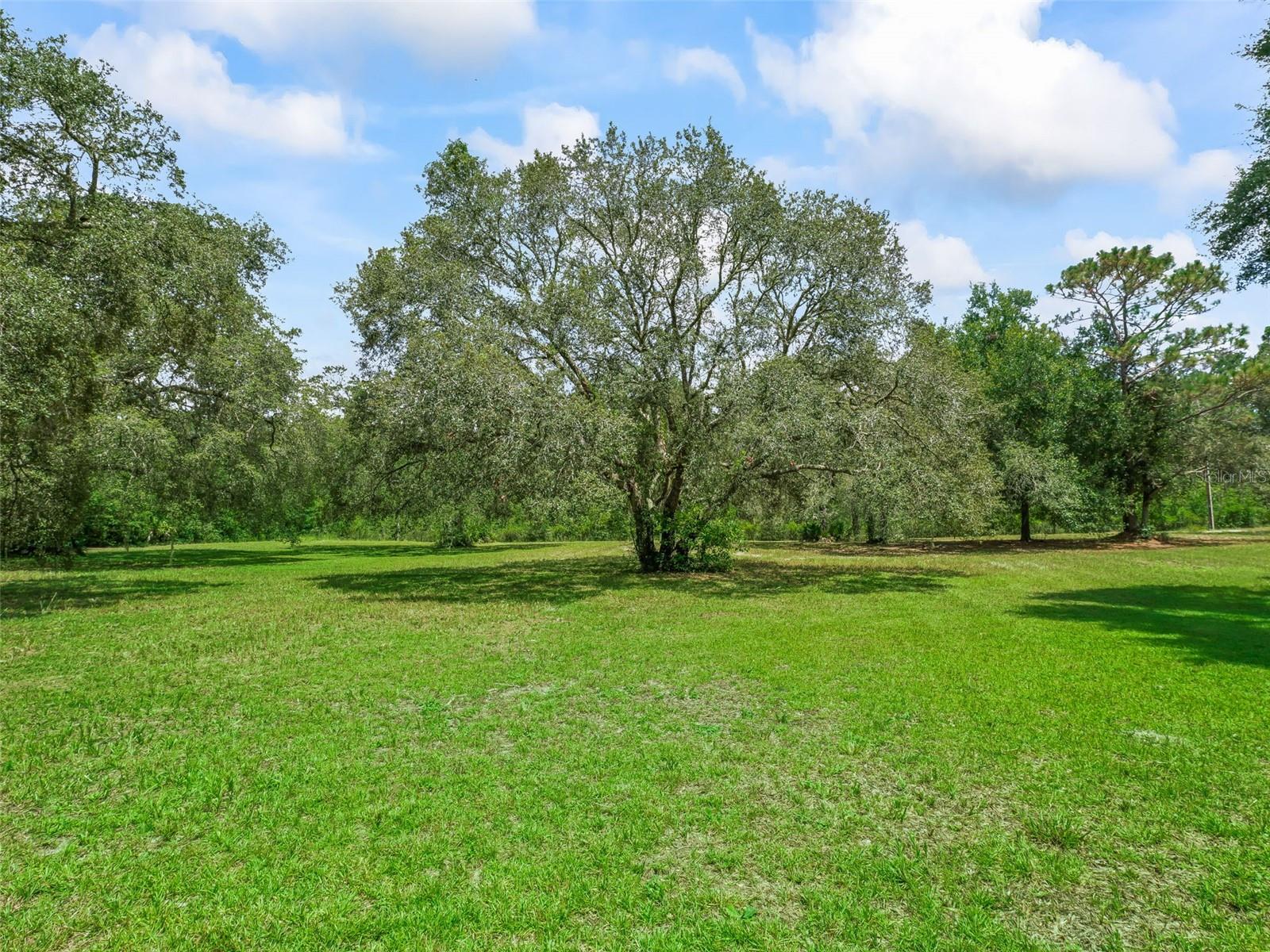 Image 5 of 32 For 11765 47th Drive