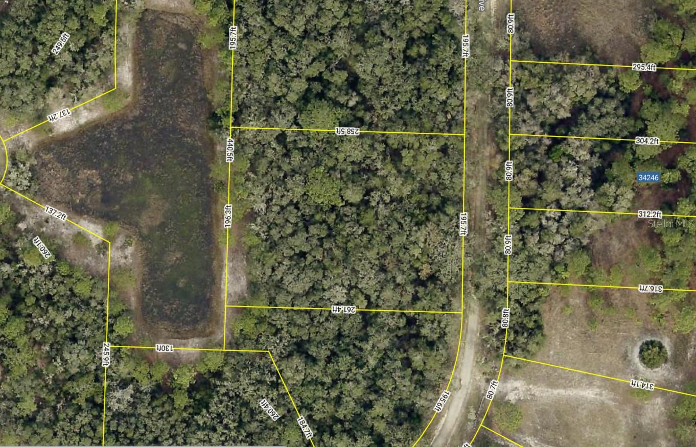 Image 2 of 8 For 34245 Berryhill Drive