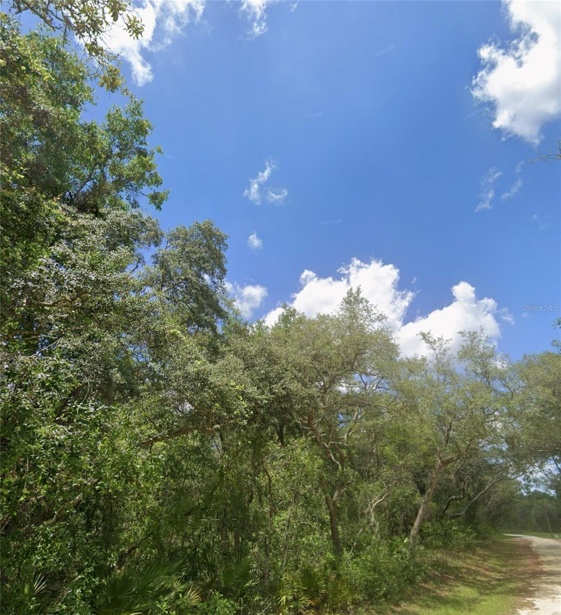 Image 6 of 8 For 34245 Berryhill Drive