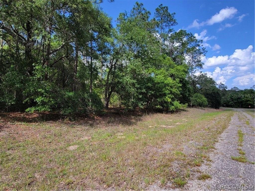 Listing photo id 0 for 609 Canturybury Lane
