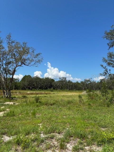 Details for Lake Yale Road, UMATILLA, FL 32784