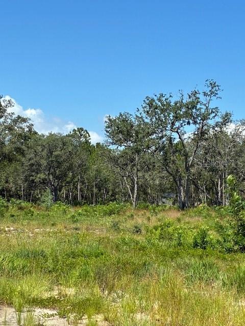 Image 4 of 6 For Lake Yale Road