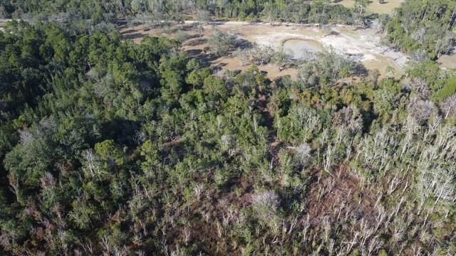 Image 9 of 12 For Lake Yale Road