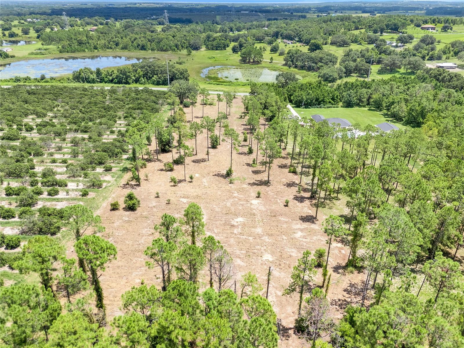 Image 7 of 9 For Dewey Robbins Road