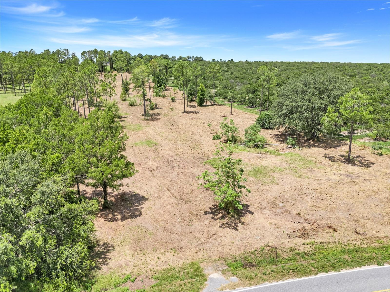 Image 8 of 9 For Dewey Robbins Road