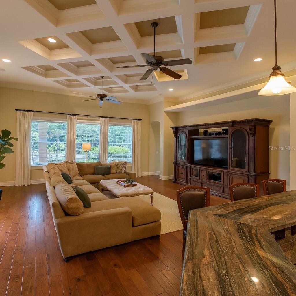 Image 17 of 33 For 35709 Pinegate Trail