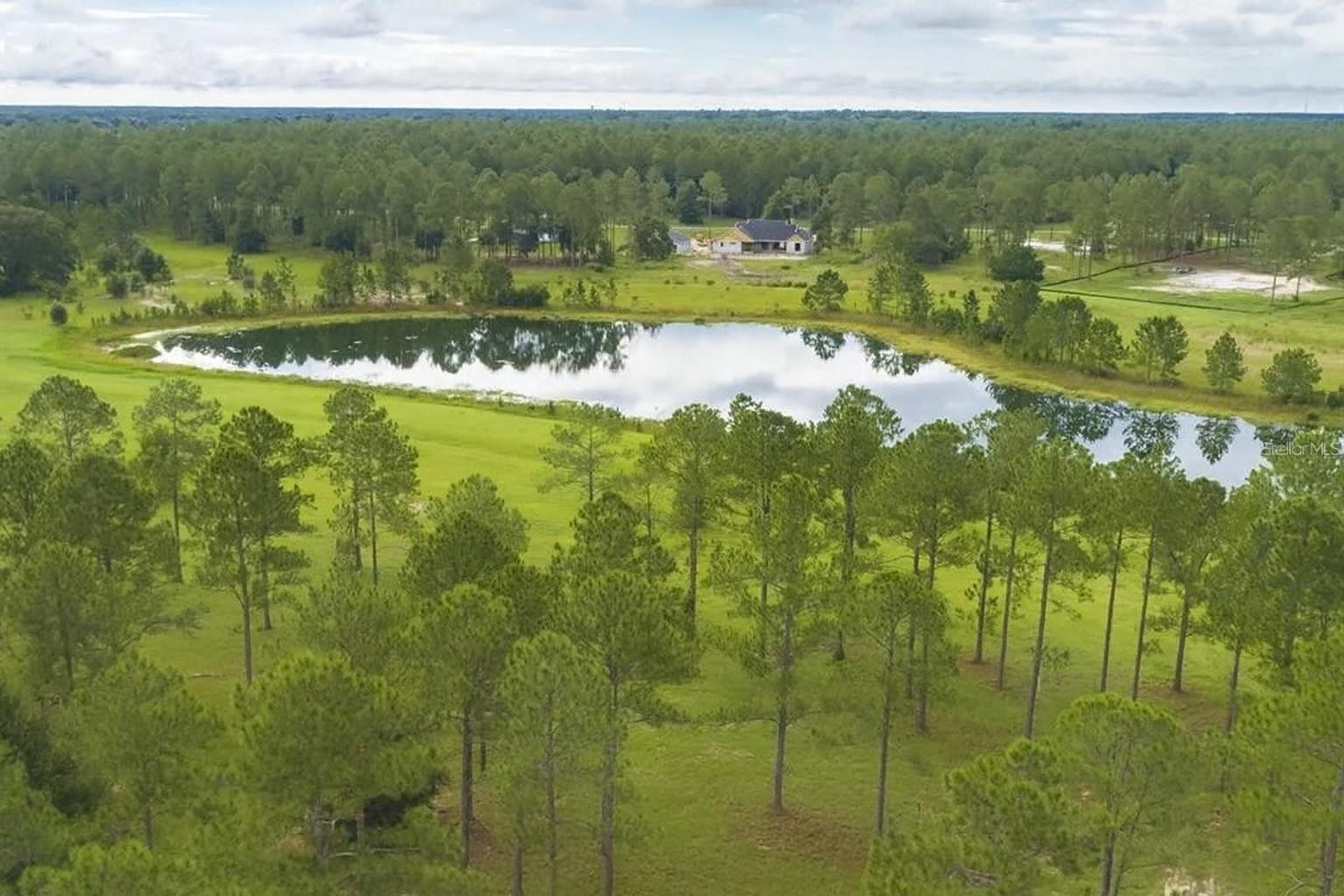Image 4 of 33 For 35709 Pinegate Trail