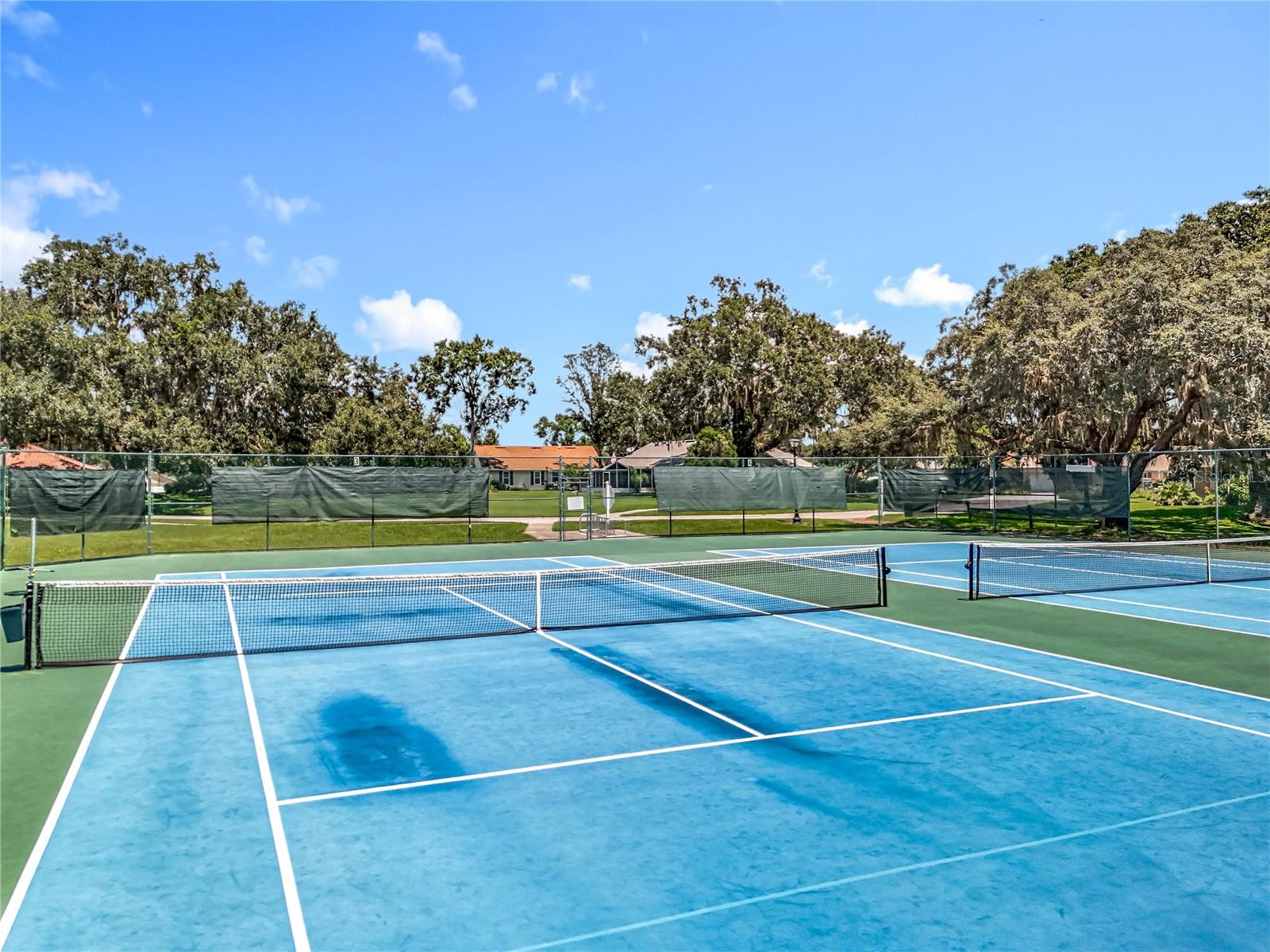 Image 54 of 61 For 26616 Racquet Circle